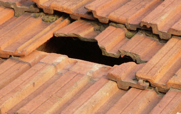 roof repair Baggrow, Cumbria